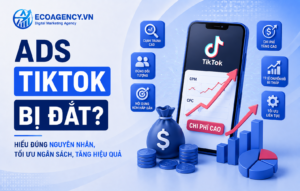 ads tiktok bị đắt
