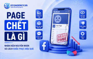 page chết là gì
