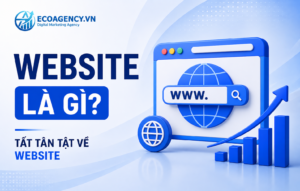 website là gì