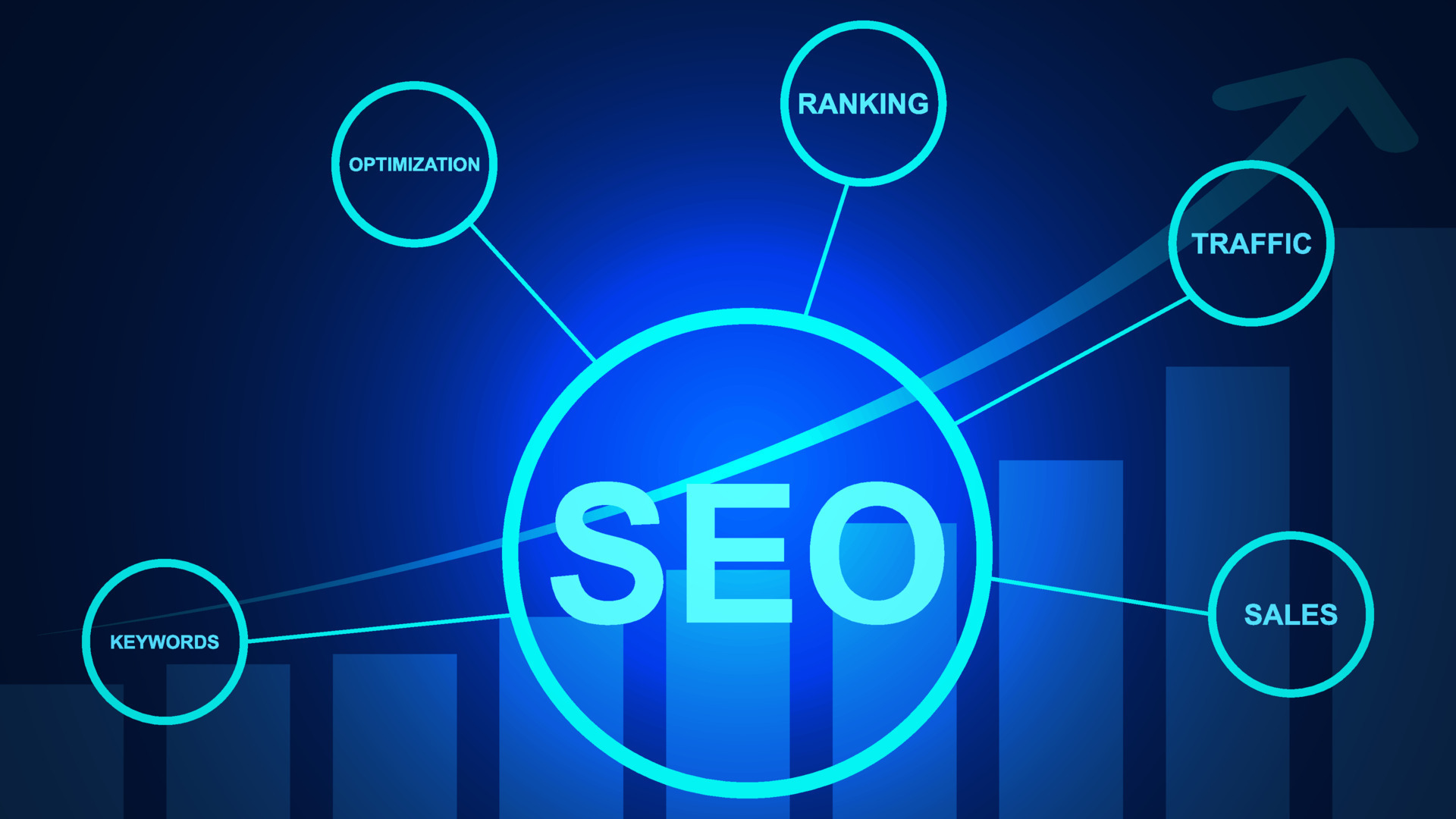 SEO website theo tháng