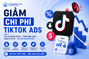 giảm chi phí tiktok ads