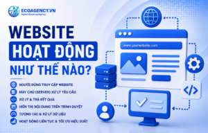 Website hoạt động như thế nào