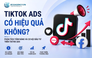 tiktok ads có hiệu quả không